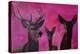 Winters Deer Family with Fawn and Hind-Markus Bleichner-Stretched Canvas