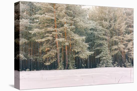 Wintry Landscape Scenery with Flat County and Woods, Snow Landscape Background for Retro Christmas-Supertrooper-Premier Image Canvas