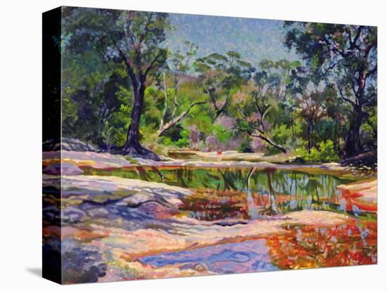 Wirreanda Creek, New South Wales, Australia-Robert Tyndall-Premier Image Canvas