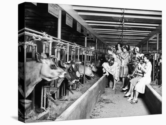 Wisconsin: Dairy Farm-null-Premier Image Canvas