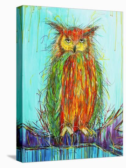 Wise Owl-Karrie Evenson-Stretched Canvas