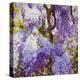 Wisteria, 2018-Helen White-Premier Image Canvas