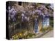 Wisteria-Covered Cottage-Richard Klune-Premier Image Canvas