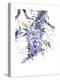 Wisteria Garden II-Nan Rae-Stretched Canvas