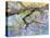 Wisteria, Van Vleck-Sharon Pitts-Premier Image Canvas