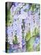 Wisteria-Joanne Porter-Premier Image Canvas