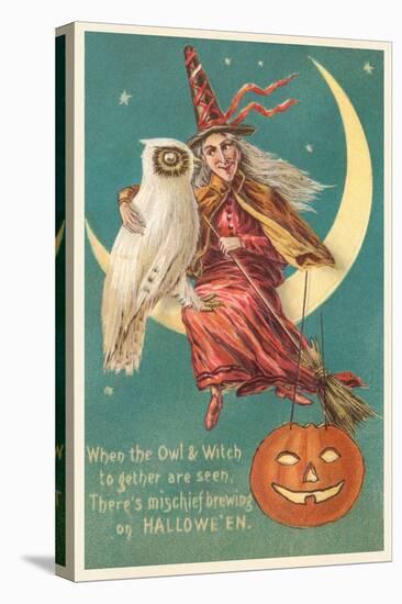 Witch and White Owl-null-Stretched Canvas