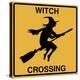Witch Crossing-Tina Lavoie-Premier Image Canvas