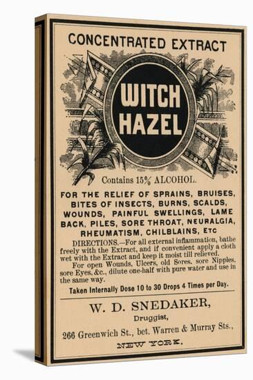 Witch Hazel-null-Stretched Canvas