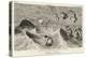 Witches Frolicking in the Waves-George Cruikshank-Stretched Canvas