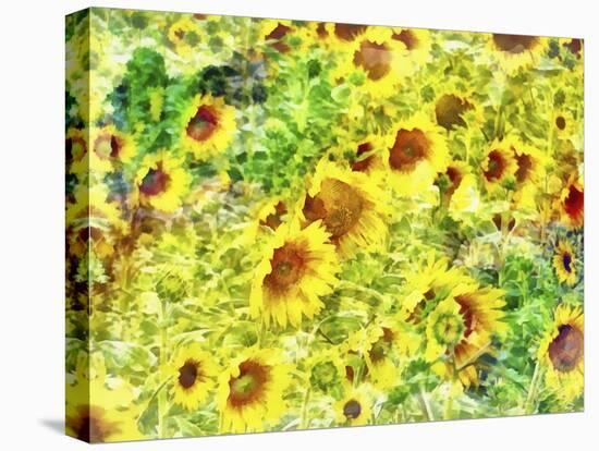 With The Sun On Your Face-Dorothy Berry-Lound-Premier Image Canvas