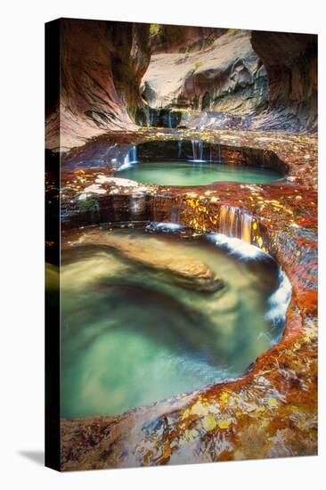 Within The Subway, Planet Earth Zion National Park, Utah-Vincent James-Premier Image Canvas