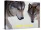 Wolf (Canis Lupus)-Steve Kazlowski-Stretched Canvas