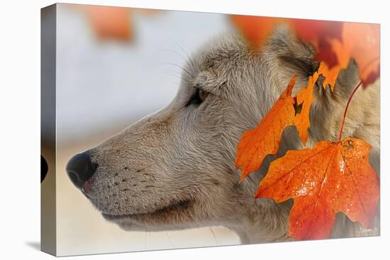 Wolf Profile Autumn Leaves-Gordon Semmens-Premier Image Canvas