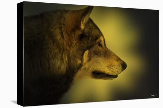 Wolf Profile HL1-Gordon Semmens-Premier Image Canvas