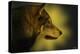 Wolf Profile HL1-Gordon Semmens-Premier Image Canvas