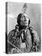 Wolf Robe, Cheyenne Indian Chief-Science Source-Premier Image Canvas