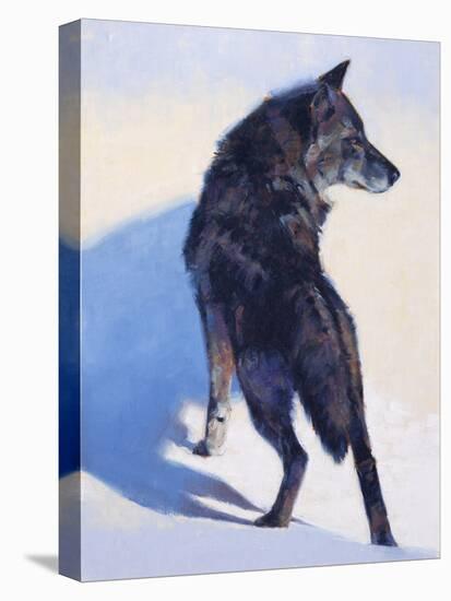 Wolf Study I-Julie Chapman-Stretched Canvas