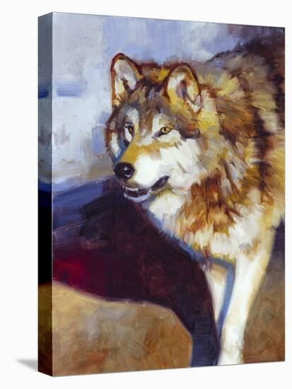 Wolf Study II-Julie Chapman-Stretched Canvas