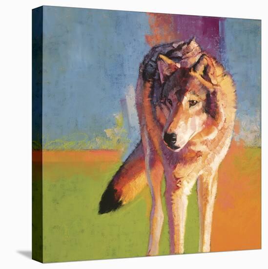 Wolf Study III-Julie Chapman-Stretched Canvas