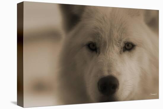 Wolf-Gordon Semmens-Premier Image Canvas