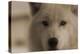 Wolf-Gordon Semmens-Premier Image Canvas