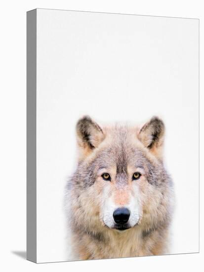 Wolf-Tai Prints-Premier Image Canvas