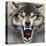 Wolf-Harro Maass-Premier Image Canvas