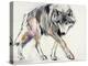 Wolf-Mark Adlington-Premier Image Canvas