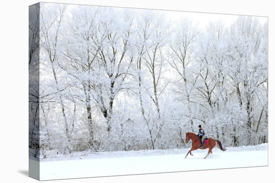 Woman and Her Horse Cantering in Fresh Snow in Christmas Morning-horsemen-Premier Image Canvas