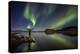 Woman Enjoying the View of the Northern Lights, at Lake Thingvellir, Iceland-null-Premier Image Canvas