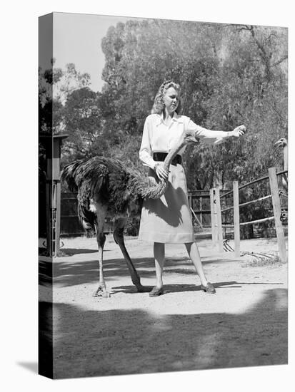 Woman Feeds Ostrich Orange on Farm-Philip Gendreau-Premier Image Canvas