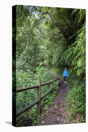 Woman Hiking in the Forest of Cubo De La Galga, Biosphere Reserve Los Tilos, Canary Islands-Gerhard Wild-Premier Image Canvas