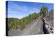 Woman Hiking in the Volcano Landscape of the Nature Reserve Cumbre Vieja, La Palma, Spain-Gerhard Wild-Premier Image Canvas