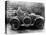 Woman in a 1911 Convertible Renault Ax, C1911-null-Premier Image Canvas