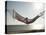 Woman in a Hammock on the Beach, Florida, United States of America, North America-Angelo Cavalli-Premier Image Canvas