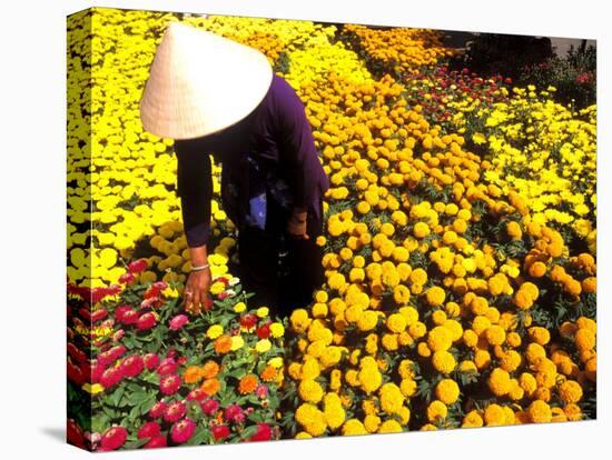 Woman in Straw Hat and Flowers, Mekong Delta, Vietnam-Bill Bachmann-Premier Image Canvas