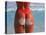 Woman in Thong at Beach with Sandy Bottom-Bill Bachmann-Premier Image Canvas