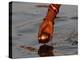 Woman Praying on the Banks of the River Ganges Fills Water into a Copper Vessel for a Ritual-null-Premier Image Canvas