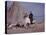 Woman Riding One of Her Reindeer in Outer Mongolia-Howard Sochurek-Premier Image Canvas