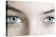 Woman's Eyes-Science Photo Library-Premier Image Canvas