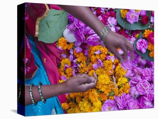 Woman Selling Flower, Pushkar, Rajasthan, India-Keren Su-Premier Image Canvas