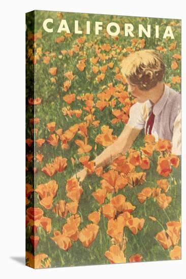 Woman Sitting in Poppies, California-null-Stretched Canvas