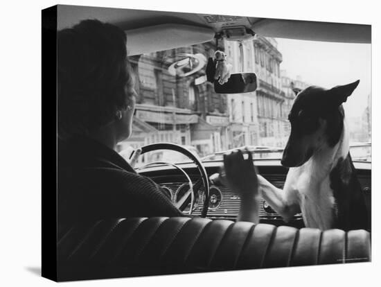Woman Taxi Driver Sharing Front Seat with Pet Dog-Alfred Eisenstaedt-Premier Image Canvas