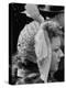 Woman Wearing Bird Decoration in Hair at Dwight D. Eisenhower's Inauguration-Cornell Capa-Premier Image Canvas