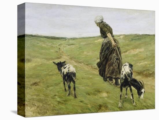 Woman with Goats on the Dunes, 1890-Max Liebermann-Premier Image Canvas