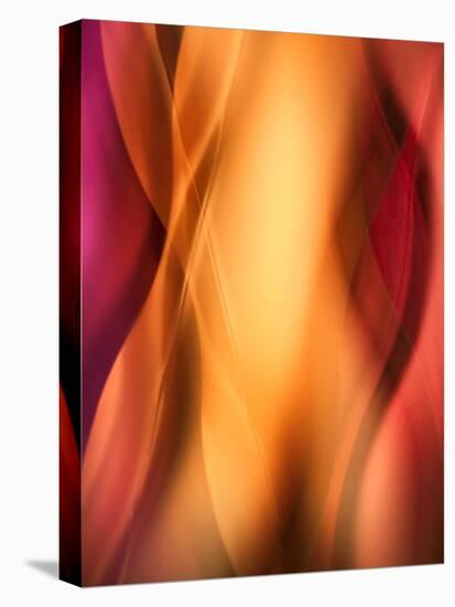 Woman-Ursula Abresch-Premier Image Canvas