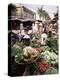 Women in Conical Hats Selling Fruit and Vegetables in Busy Central Market, Hoi An, Central Vietnam-Gavin Hellier-Premier Image Canvas