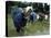 Women Planting Rice in Paddy, Kurobe, Toyama Prefecture-Ted Thai-Premier Image Canvas