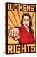 Women's Rights Poster-null-Stretched Canvas